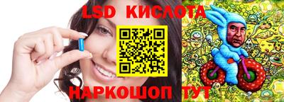 индика Пугачёв