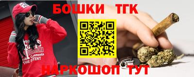 индика Пугачёв