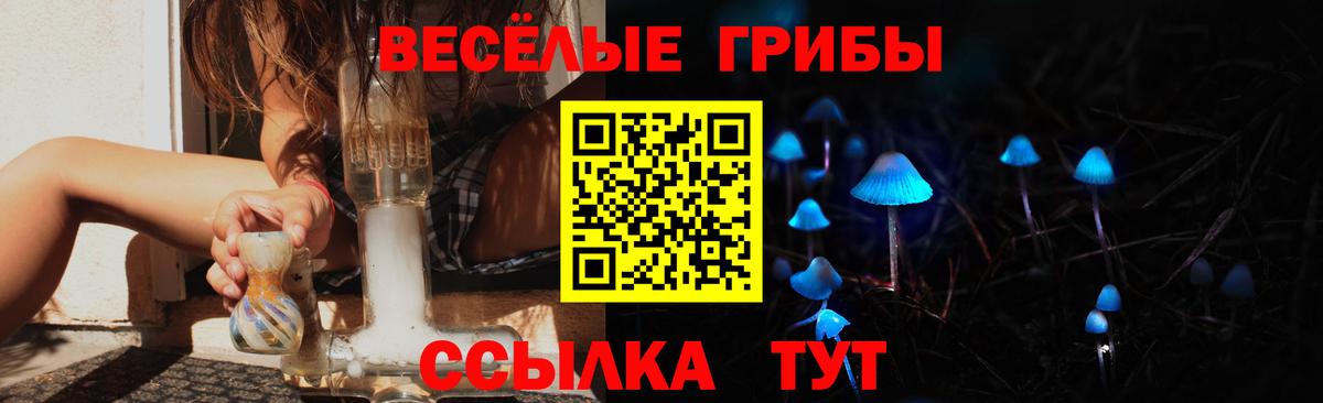 Псилоцибиновые грибы Psilocybine cubensis Урай